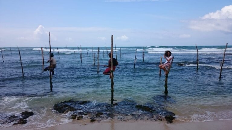 Prawn – Beach