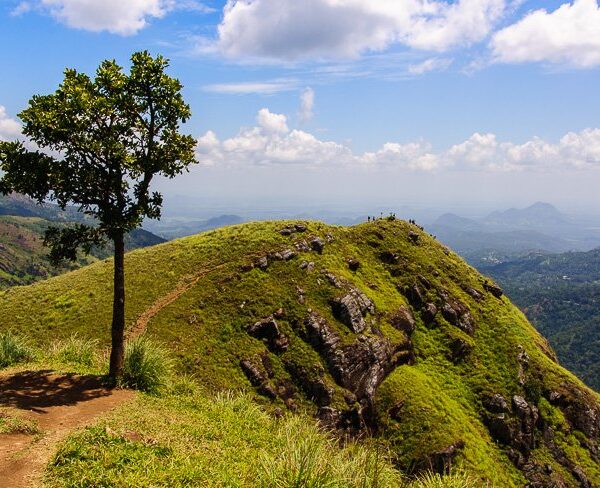 little adams peak