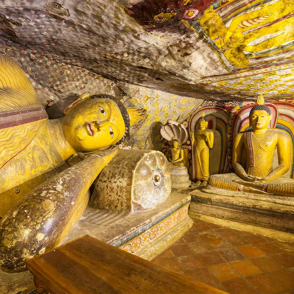 Dambulla2